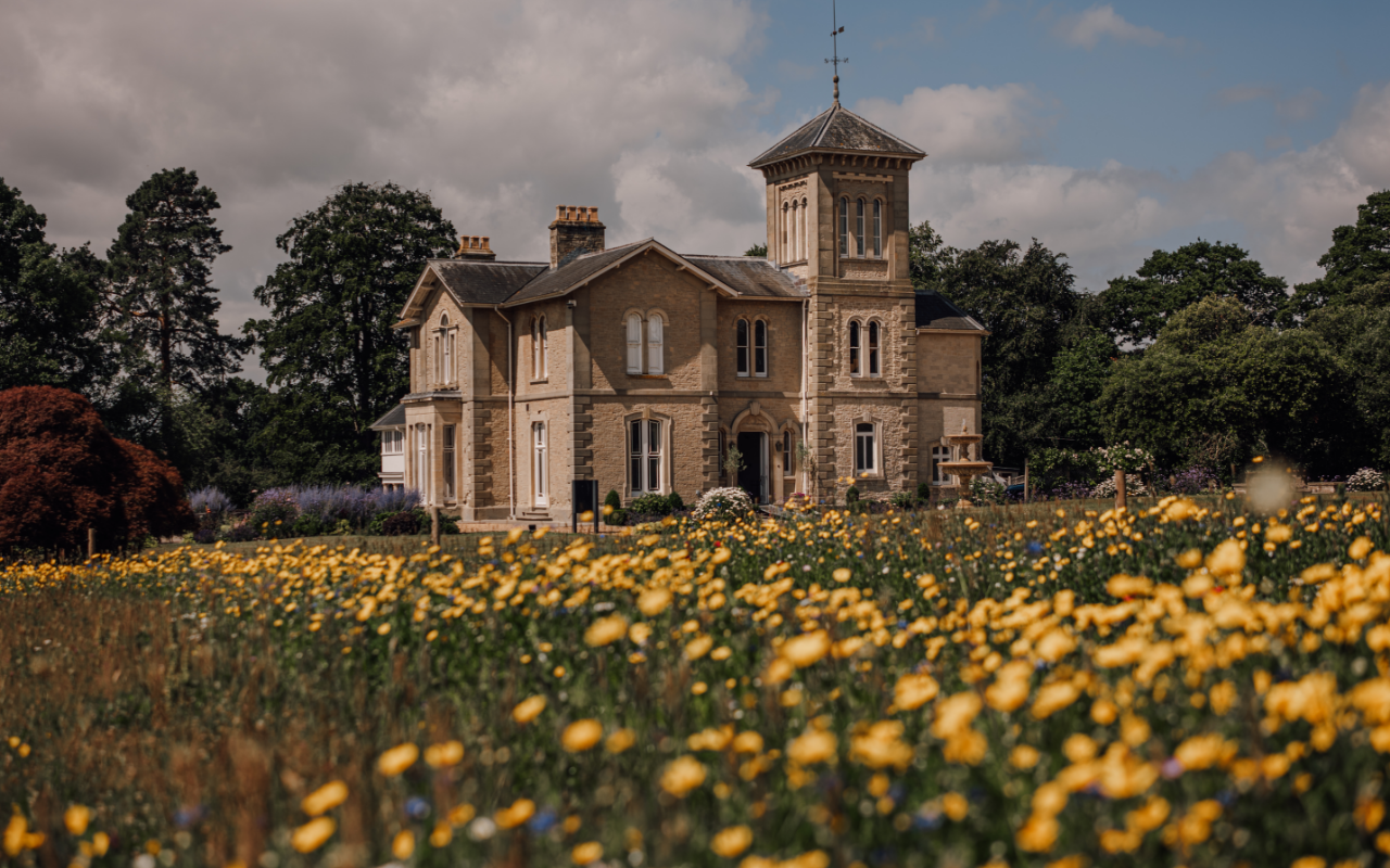 A close-up of flowers in the grounds of St Tewdrics