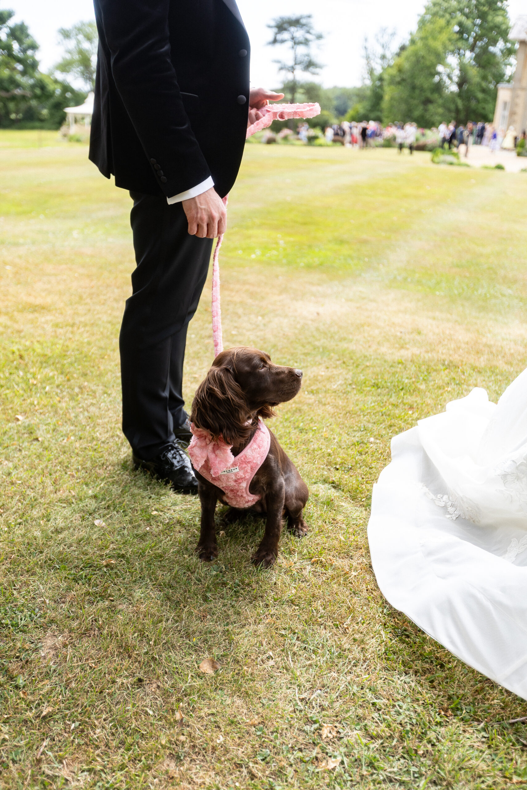 Descriptive Alt Text 2