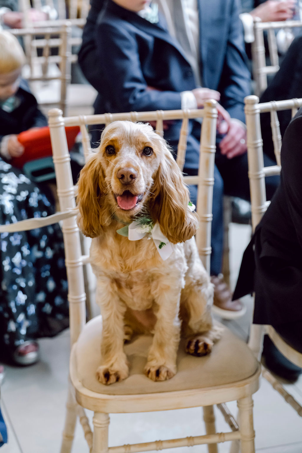 Descriptive Alt Text